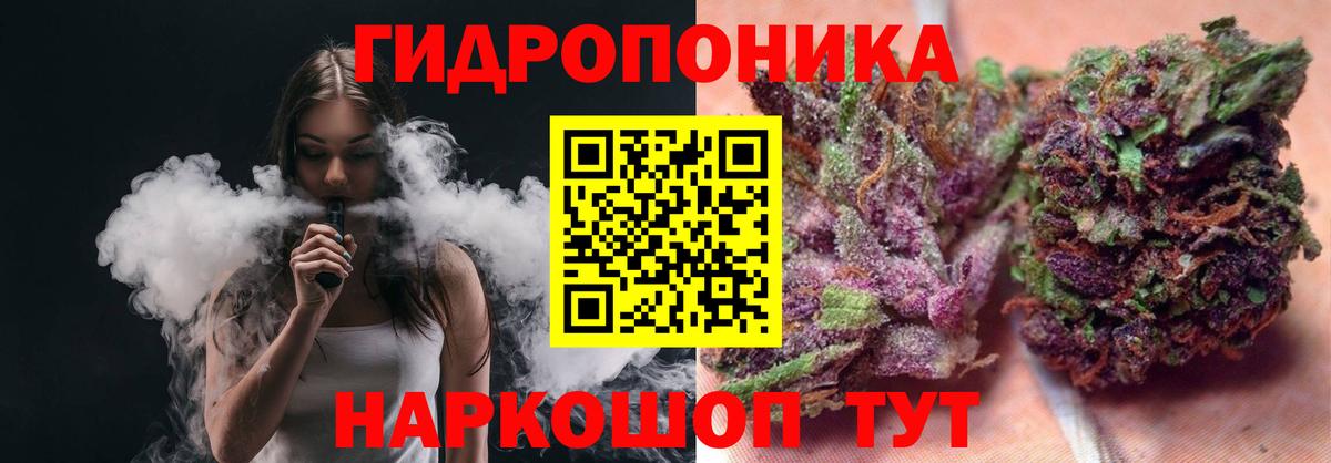 Гатчина  Марихуана планчик  Вход с VPN  Марихуана марихуана 